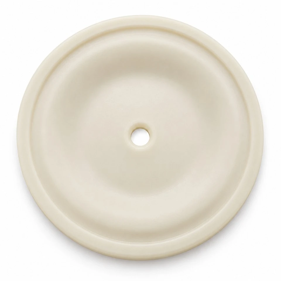 Custom PP Diaphragm Backing Plates factory Custom PP Diaphragm Backing Plates factory